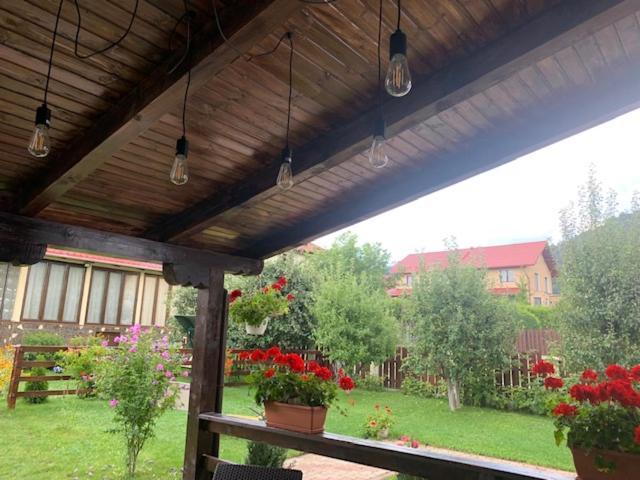 Vila Rolizo Braşov Exteriör bild