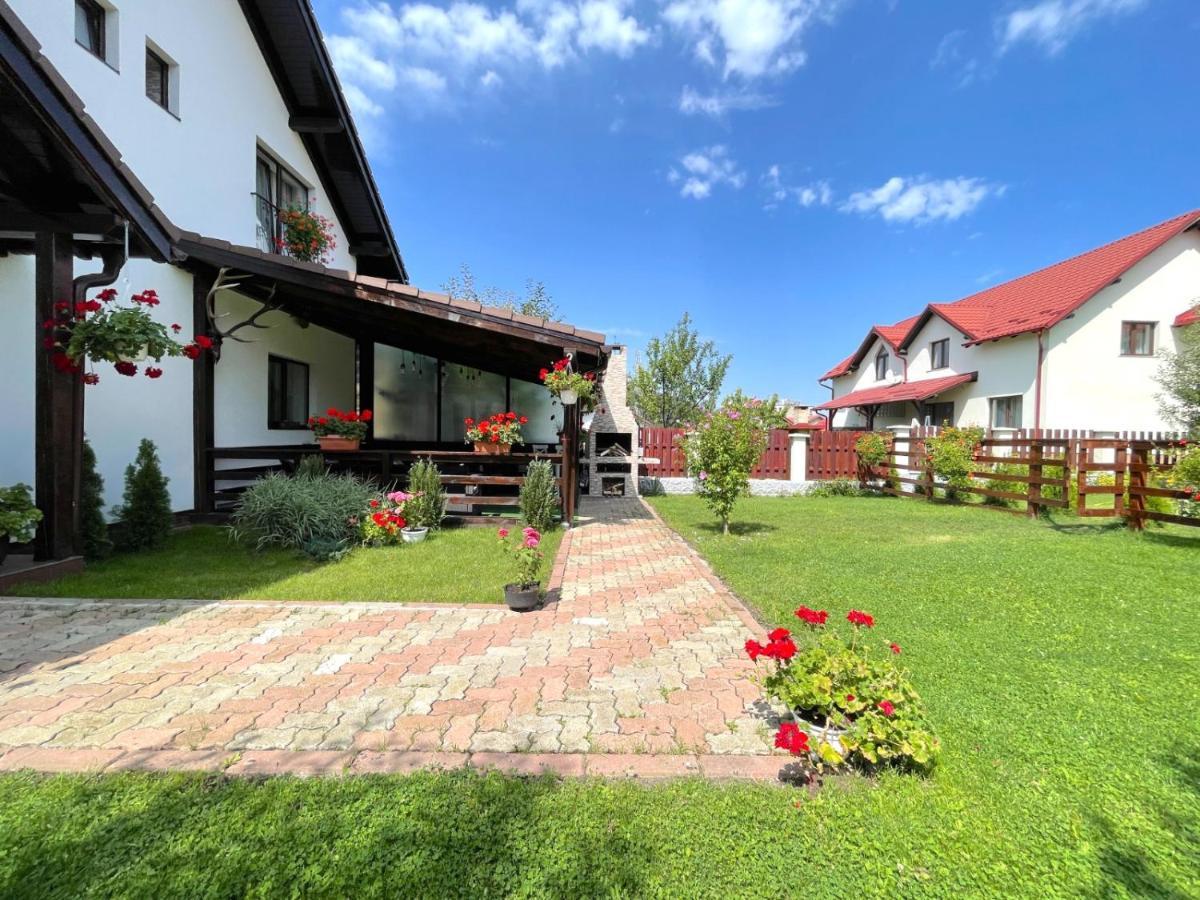 Vila Rolizo Braşov Exteriör bild