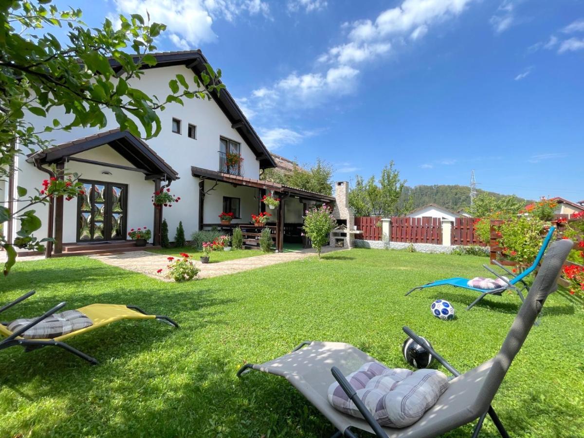 Vila Rolizo Braşov Exteriör bild